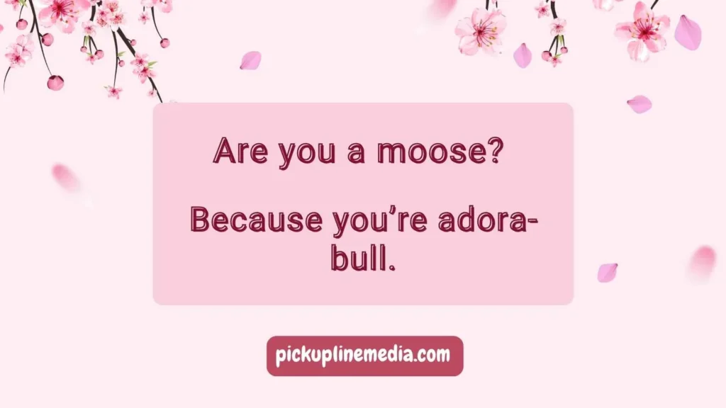 Cute Moose Pick Up Lines