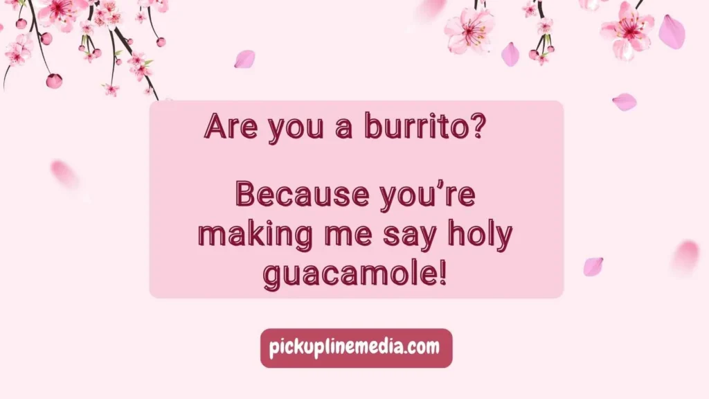 Funny Burrito Pickup Lines