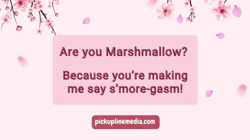 Funny Marshmallow Pickup Lines