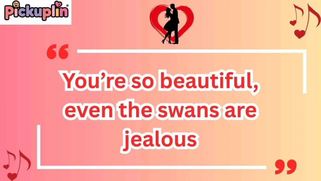 Funny Swan Pick Up Lines