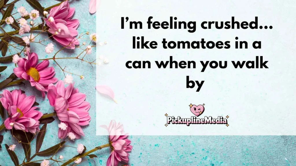 Funny Tomato Pick Up Lines