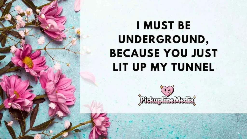 Manhole Pickup Lines