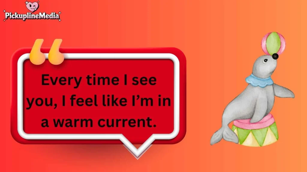 Romantic Seal Pick Up Lines 