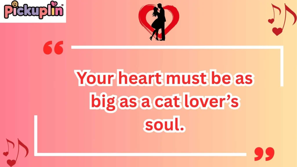 Cat Lover Pickup Lines 
