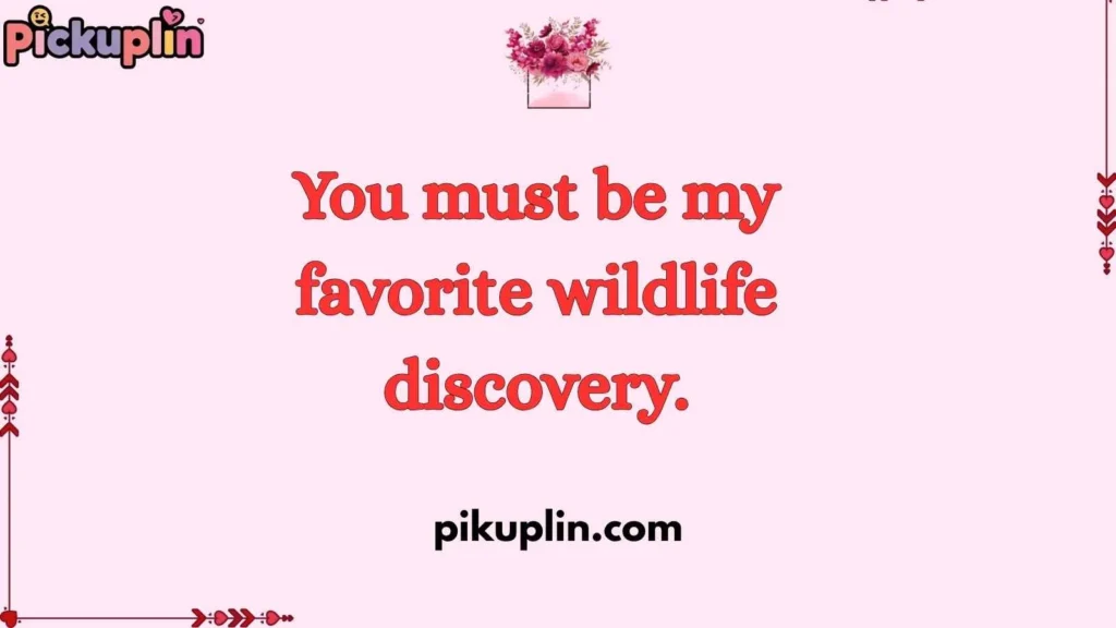 Cute Lynx Pickup Lines 