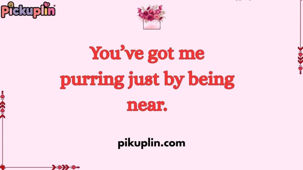 Flirty Lynx Pickup Lines