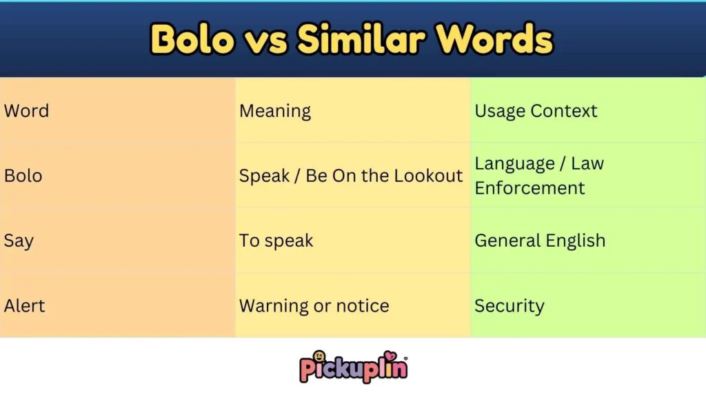 Bolo vs Similar Words