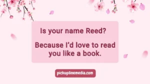 Homographic Pickup Lines