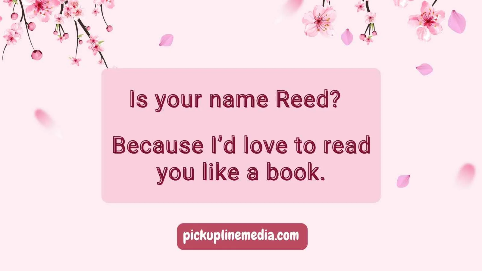 Homographic Pickup Lines