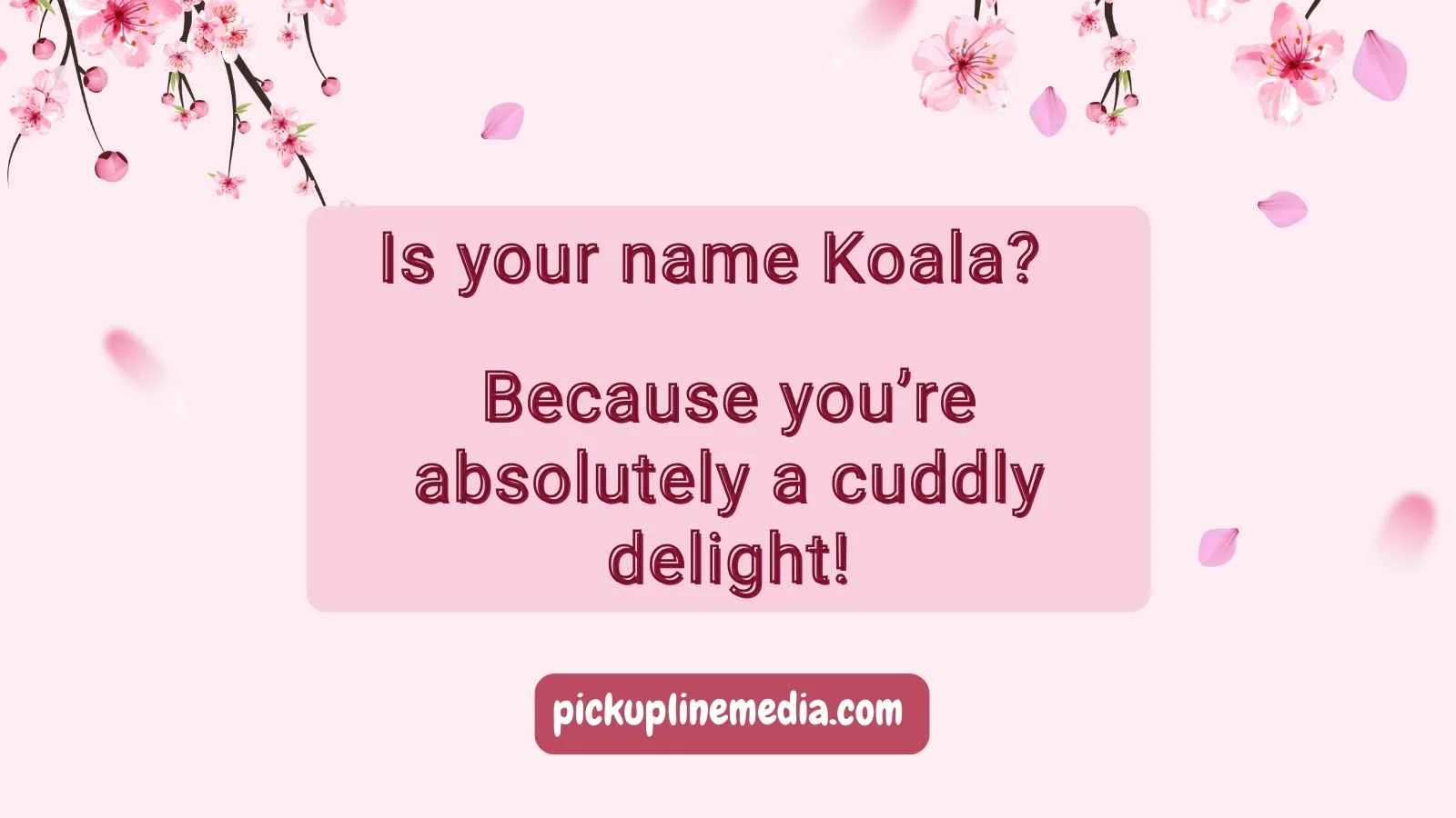 Koala Pickup Lines