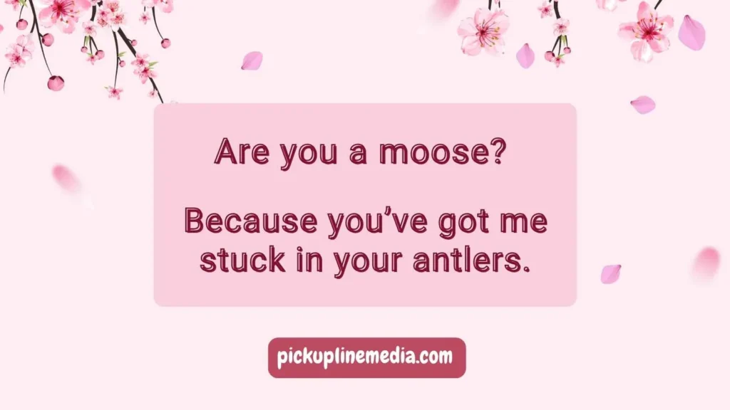 Moose Pick Up Lines