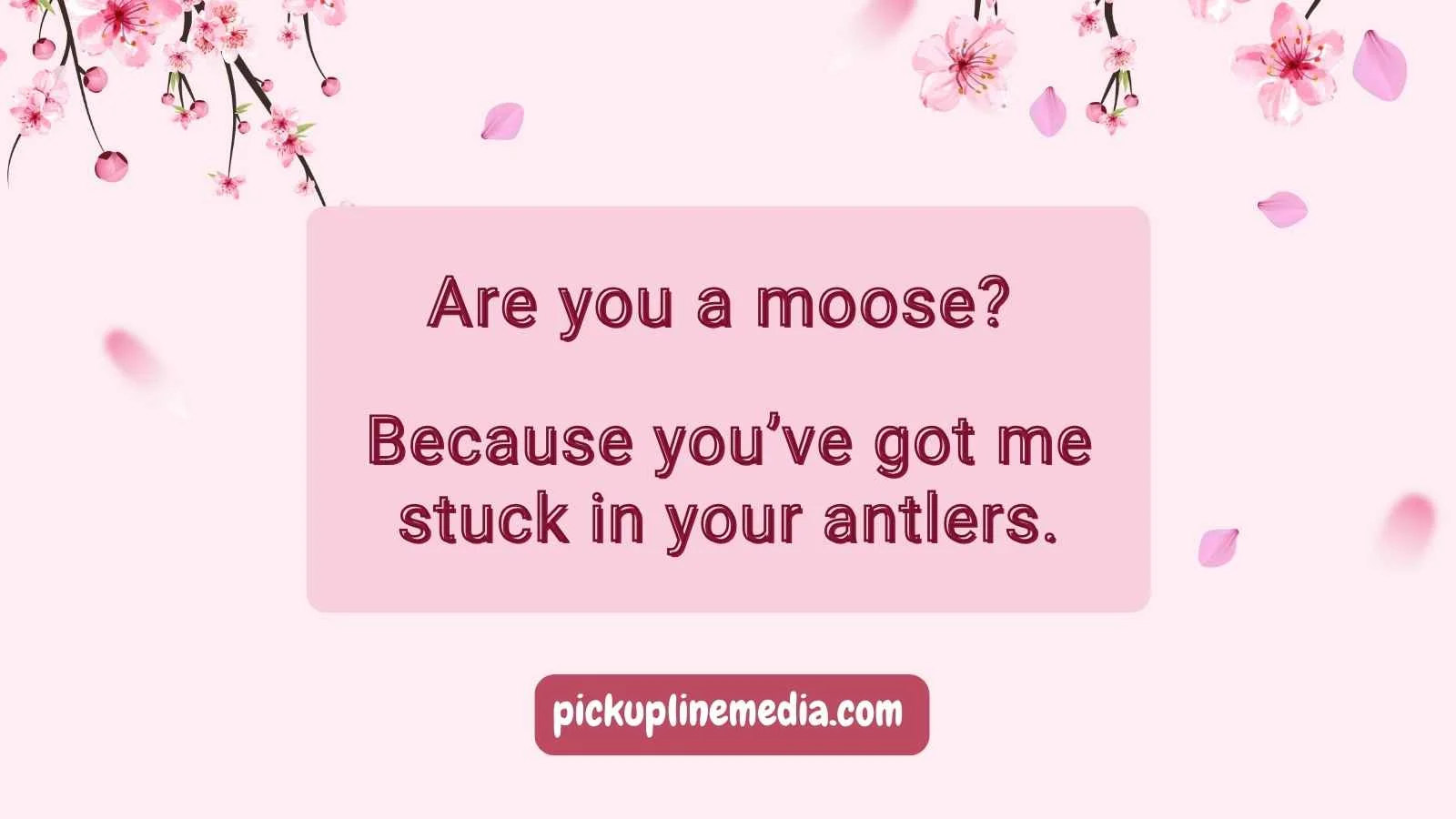Moose Pick Up Lines