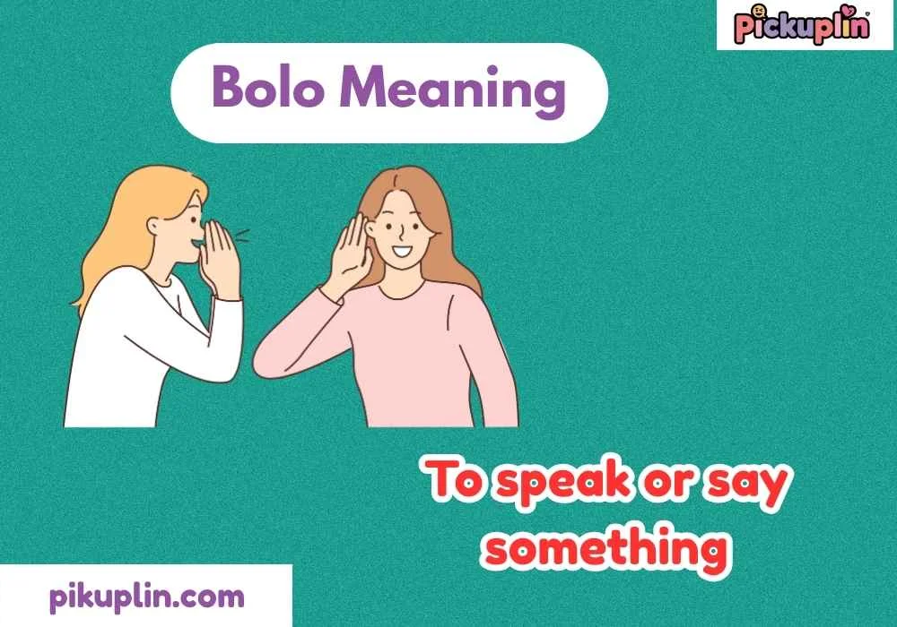 Bolo Meaning