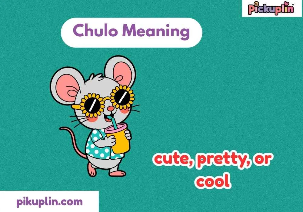 Chulo Meaning