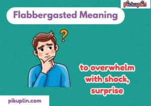Flabbergasted Meaning