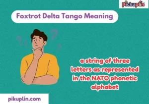 Foxtrot Delta Tango Meaning