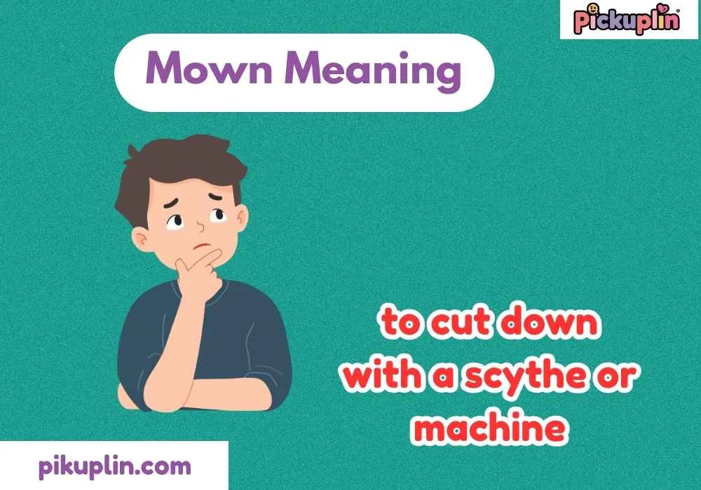 mown meaning