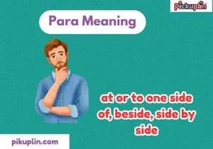 Para Meaning