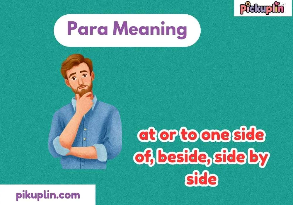 Para Meaning