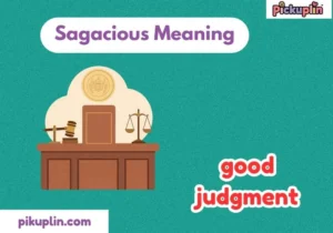 Sagacious Meaning