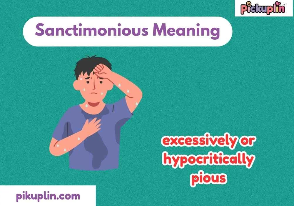 Sanctimonious Meaning