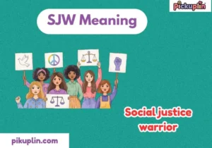 sjw meaning