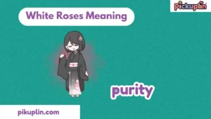 White Roses Meaning