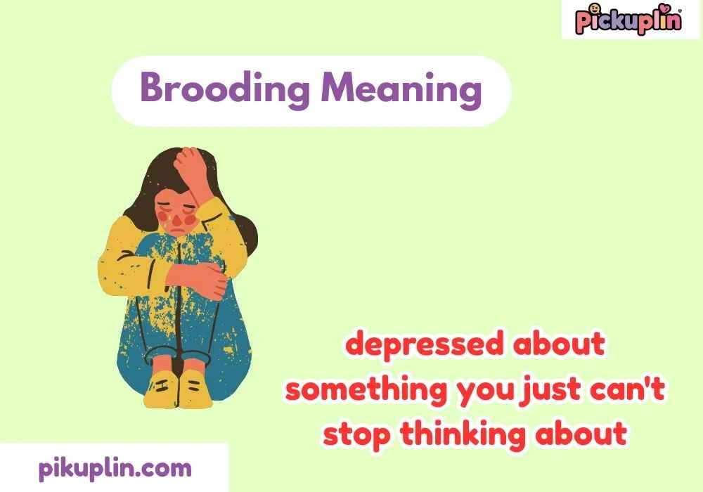Brooding Meaning