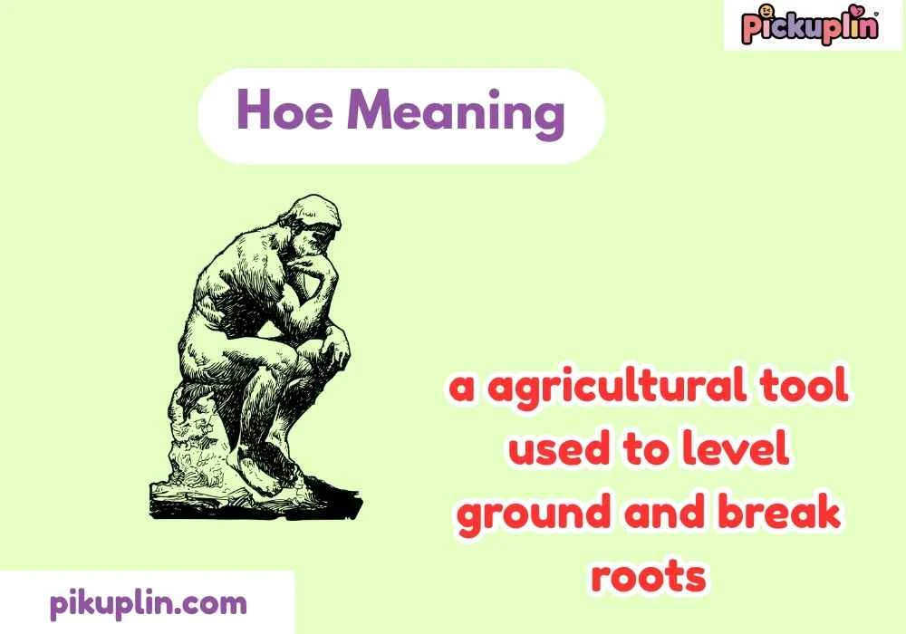 Hoe Meaning