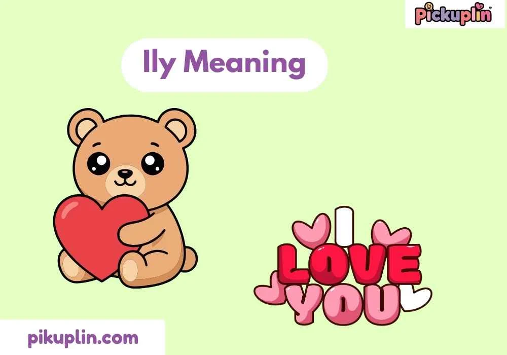 Ily Meaning