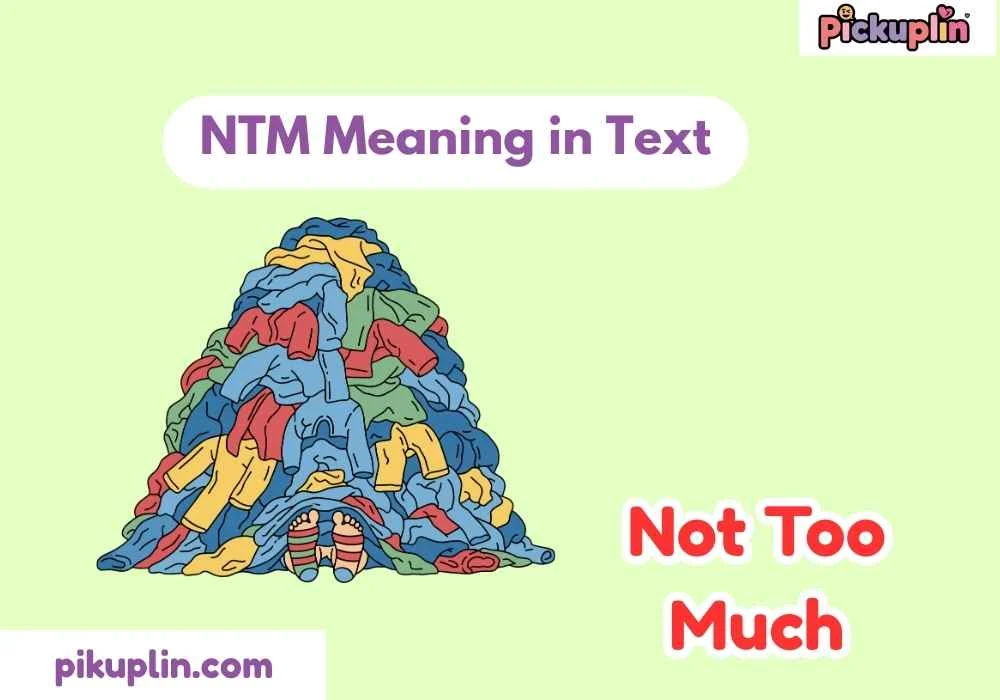 NTM Meaning in Text