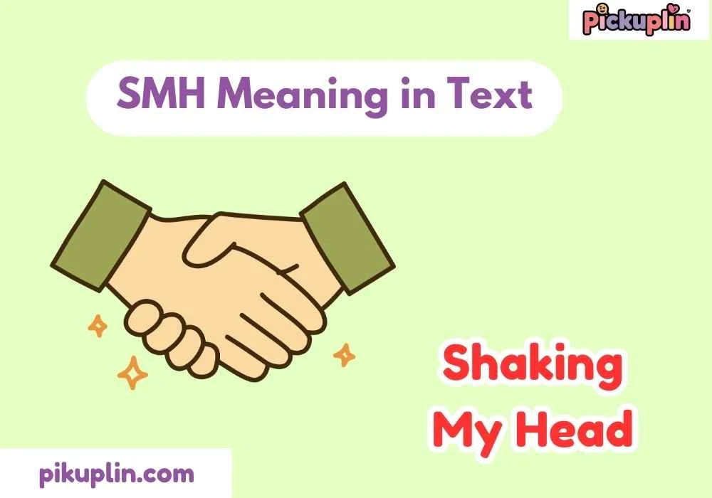 SMH Meaning in Text