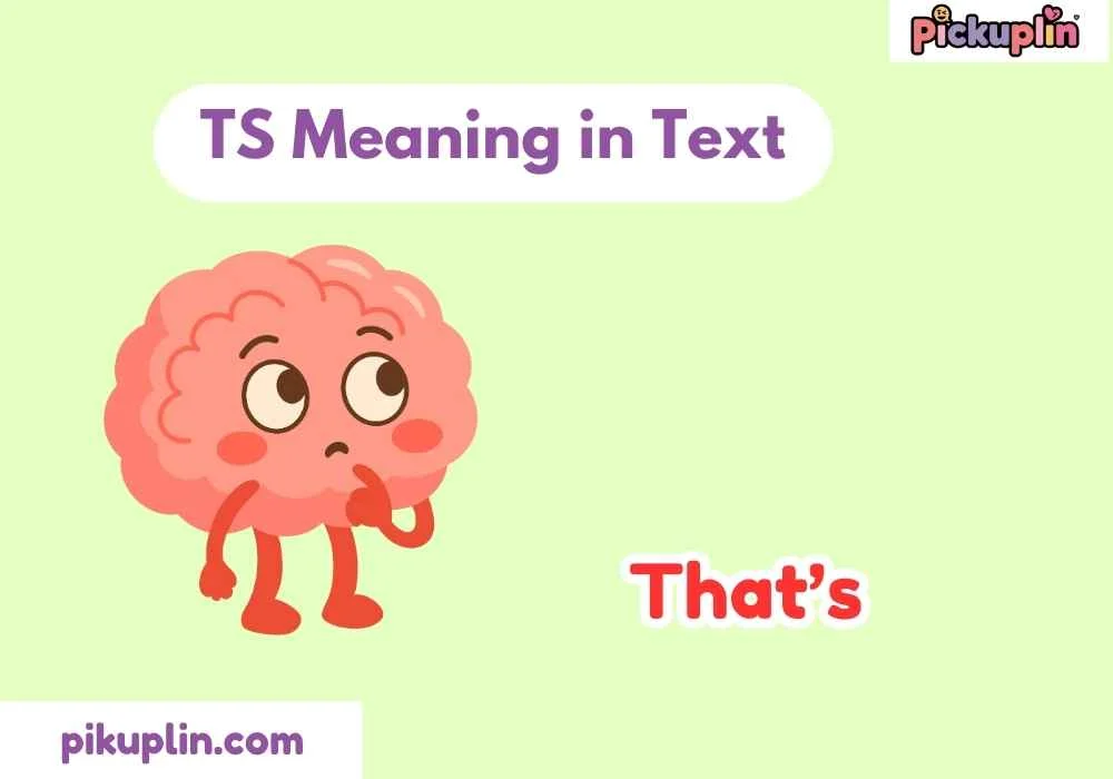 TS Meaning in Text